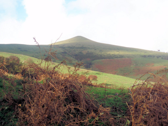 Lose Hill Lose Hill